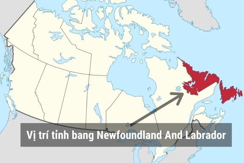 Newfoundland